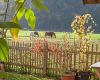 Haus-Fichtl_058